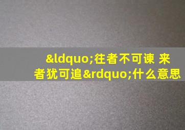 “往者不可谏 来者犹可追”什么意思